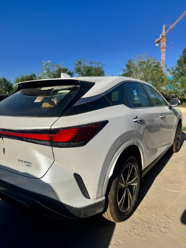 LEXUS RX 300
